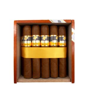COHIBA ROBUSTO